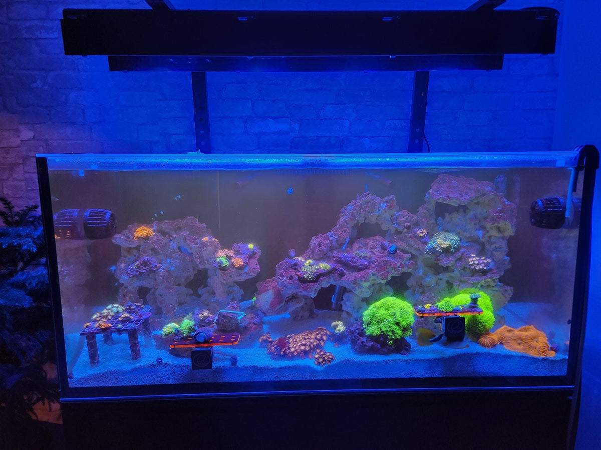 ReefBreeders Meridian & Meridian Edge Light Shade (Set of 2)